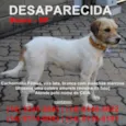 Cida