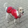 Cida