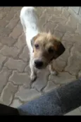 Cida