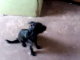 Mili e Black