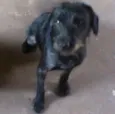 Mili e Black
