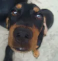 teka