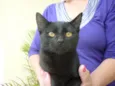 BONI
