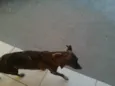Teka