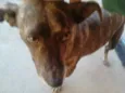 Teka