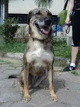 Susy
