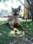 Fido