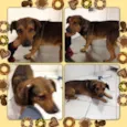Billy