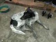 branquinha