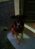 Titão