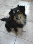 laila GRATIFICA