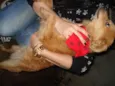 Luquinhas
