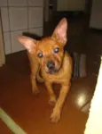 BRISA