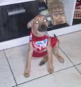 EIDA