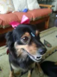 MORENA (LINDA, AMOR