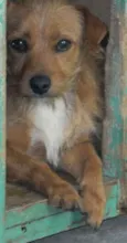 Hunter