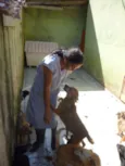 DÓRIS