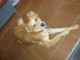 Pescoço