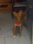 Romeo
