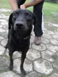 Tofú