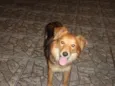 Dalila