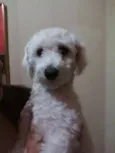 não sei