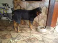 Brenda