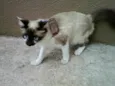 Menina