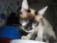 Menina