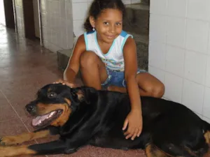 Cachorro raça hot walle idade 5 anos nome catuxa