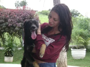 Cachorro raça MESTIÇO BORDER COLLIE idade 1 ano nome LINDO MESTIÇO BORDE