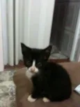 Kate
