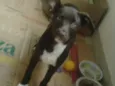 Meg
