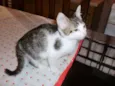 Negão / Bilu / Lulu