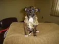 Frank