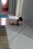Milly e Mel