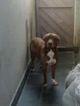 Meg