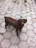 XUXA