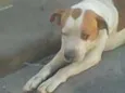 não sei