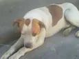 não sei