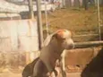 não sei