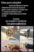 Marlom e Taylor