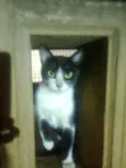 Mimi