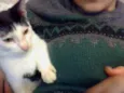 fofinho