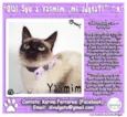 Yasmin