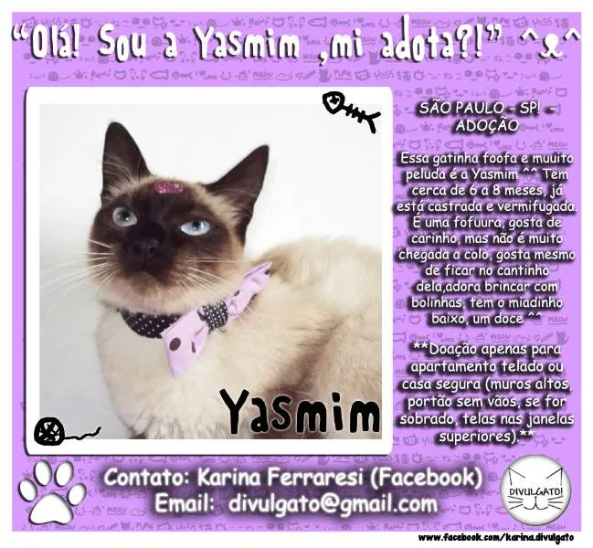 Gato ra a SRD idade 7 a 11 meses nome Yasmin