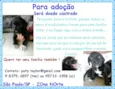 Toreto