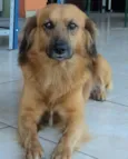 Ralph
