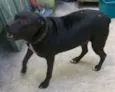 NINA