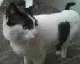 Fubeca